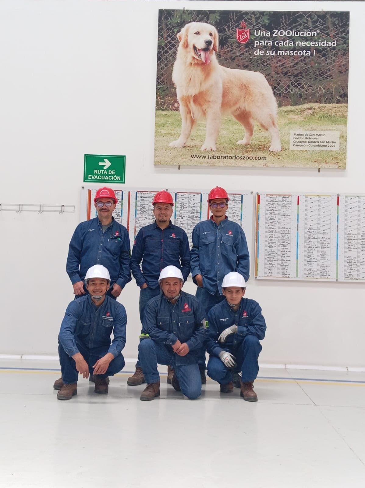 Operarios de Laboratorios ZOO trabajando en la bodega, moviendo cajas de producto.