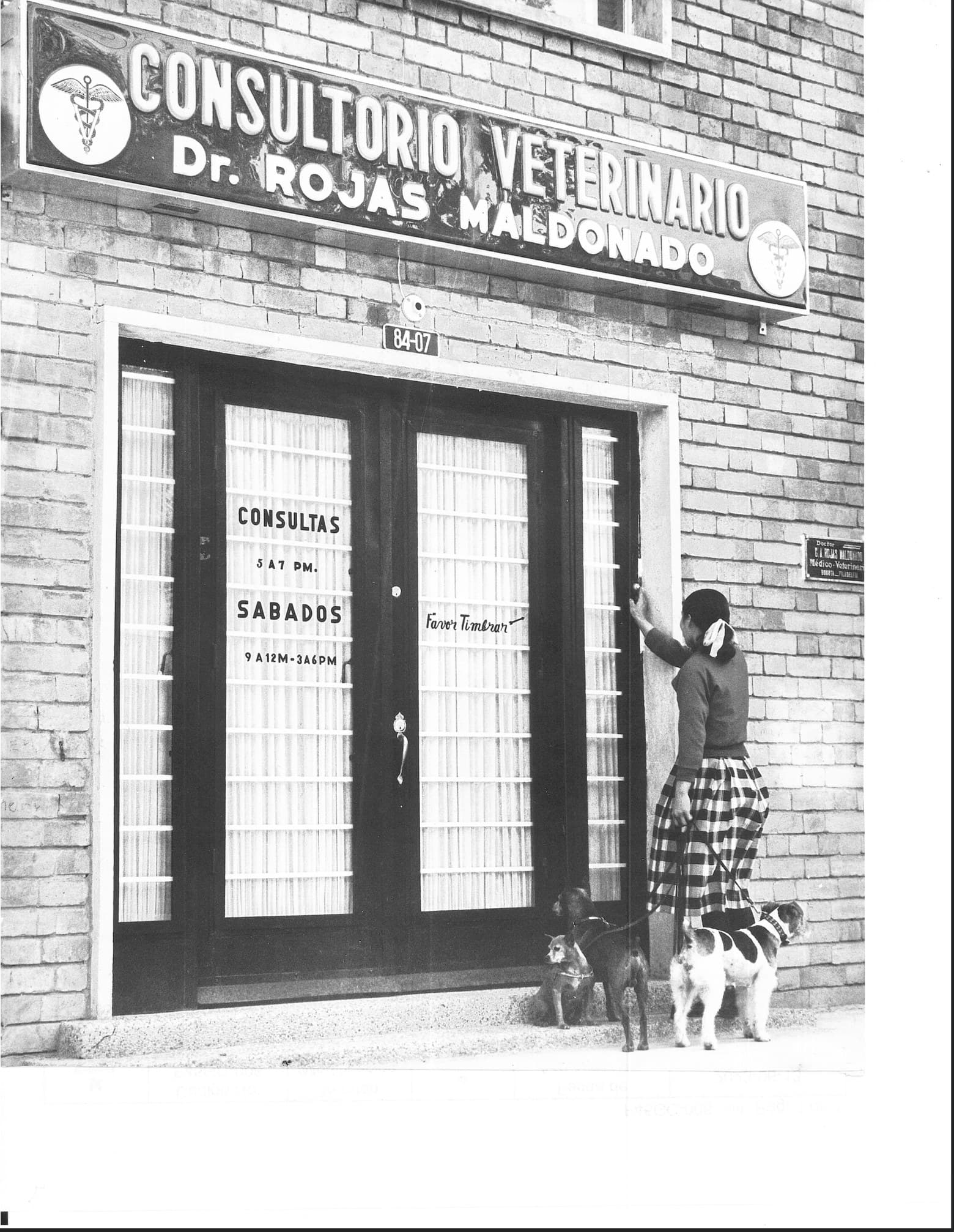 Consultorio Veterinario Dr. Rojas Maldonado: una clienta llega con sus perros al consultorio original en Bogotá.