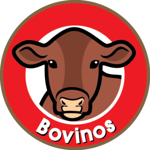 Bovinos
